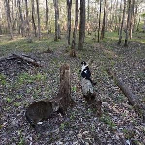 Meet your Posher, Patricia